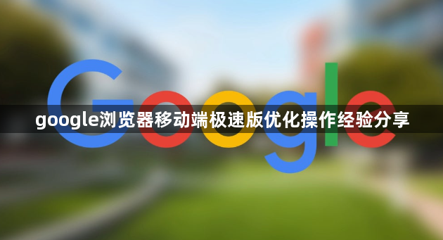 google浏览器移动端极速版优化操作经验分享1