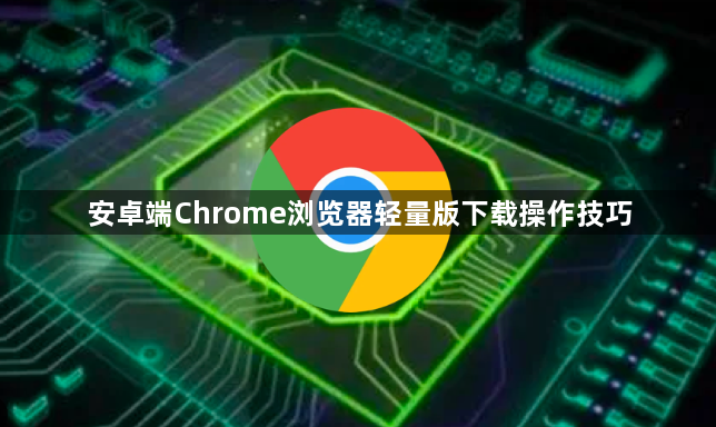 安卓端Chrome浏览器轻量版下载操作技巧1