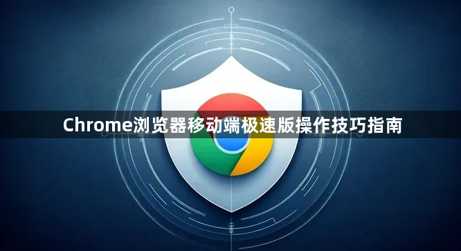Chrome浏览器移动端极速版操作技巧指南1