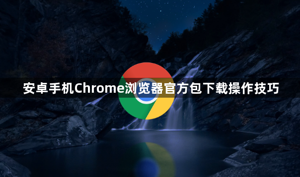 安卓手机Chrome浏览器官方包下载操作技巧1