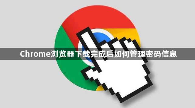 Chrome浏览器下载完成后如何管理密码信息1