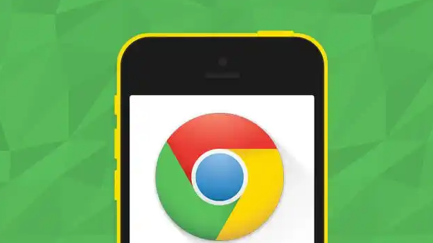 Google浏览器官方下载详细流程解析
