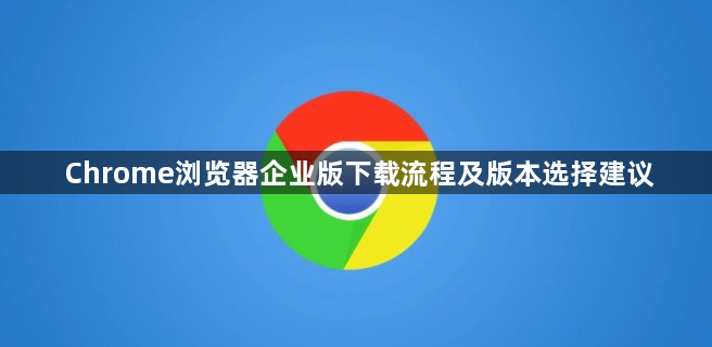 Chrome浏览器企业版下载流程及版本选择建议1