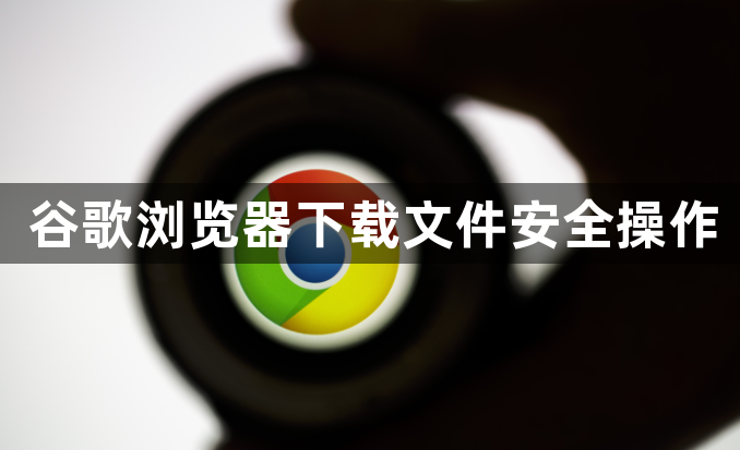 谷歌浏览器下载文件安全操作1